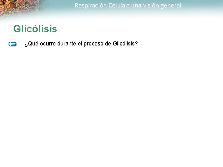 Respiración Celular: una visión general Glicólisis ¿Qué ocurre durante el proceso de Glicólisis? 