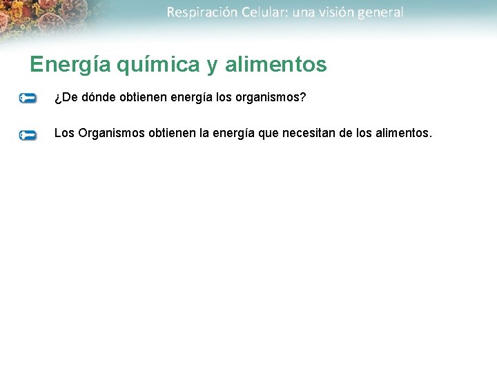 Respiración Celular: una visión general Energía química y alimentos ¿De dónde obtienen energía los