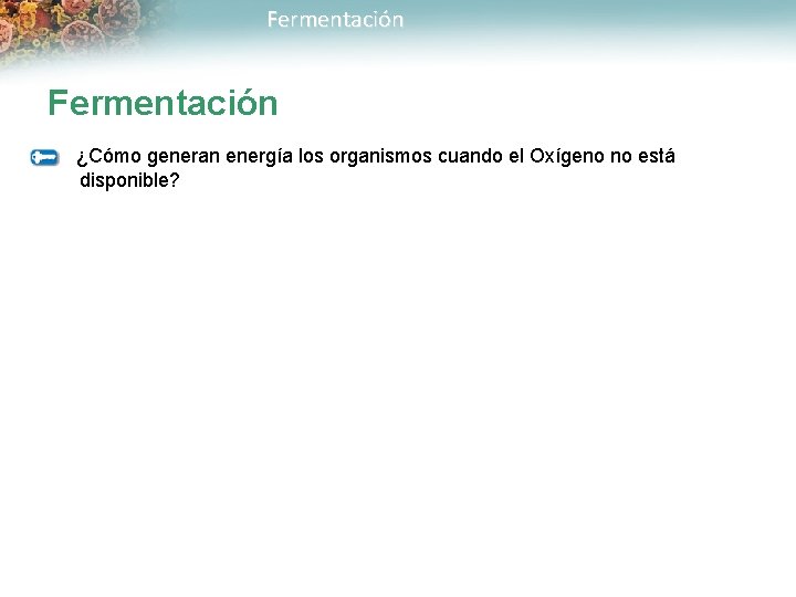 Fermentación ¿Cómo generan energía los organismos cuando el Oxígeno no está disponible? 