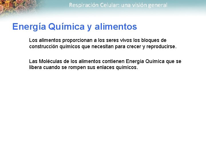 Respiración Celular: una visión general Energía Química y alimentos Los alimentos proporcionan a los