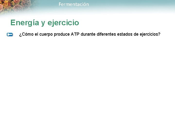 Fermentación Energía y ejercicio ¿Cómo el cuerpo produce ATP durante diferentes estados de ejercicios?