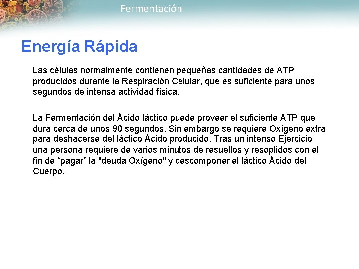 Fermentación Energía Rápida Las células normalmente contienen pequeñas cantidades de ATP producidos durante la