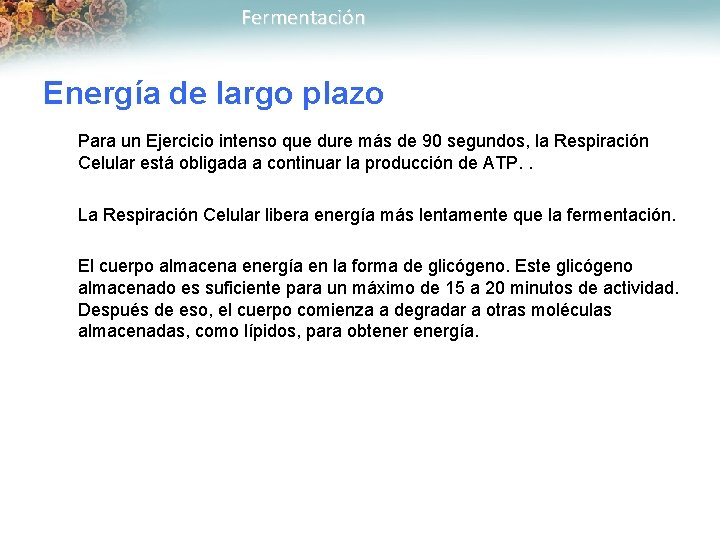 Fermentación Energía de largo plazo Para un Ejercicio intenso que dure más de 90