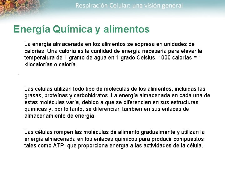 Respiración Celular: una visión general Energía Química y alimentos La energía almacenada en los