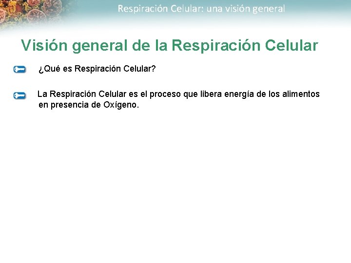 Respiración Celular: una visión general Visión general de la Respiración Celular ¿Qué es Respiración