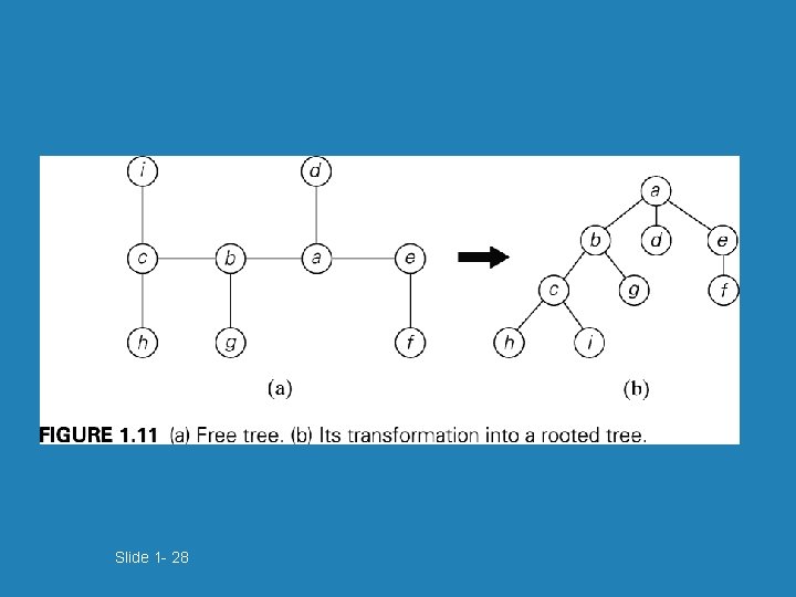 Slide 1 - 28 Slide 1 - 28