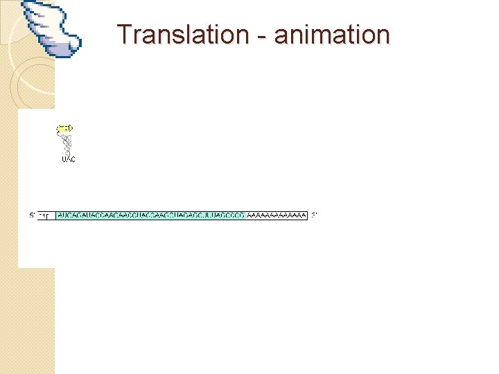 Translation - animation 