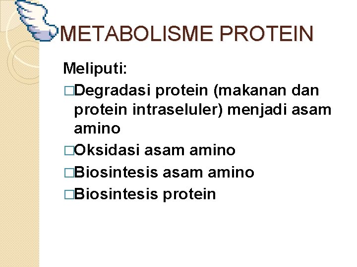 METABOLISME PROTEIN Meliputi: �Degradasi protein (makanan dan protein intraseluler) menjadi asam amino �Oksidasi asam