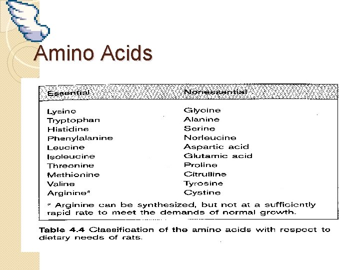 Amino Acids 