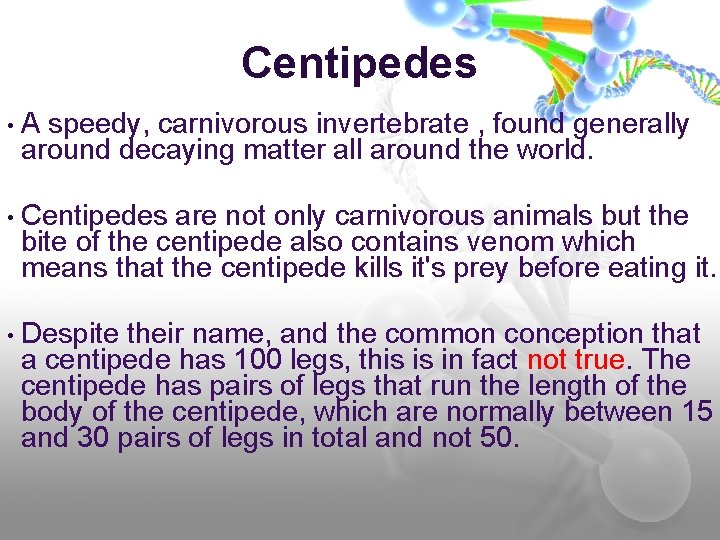 Centipedes • A speedy, carnivorous invertebrate , found generally around decaying matter all around