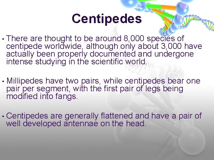 Centipedes • There are thought to be around 8, 000 species of centipede worldwide,