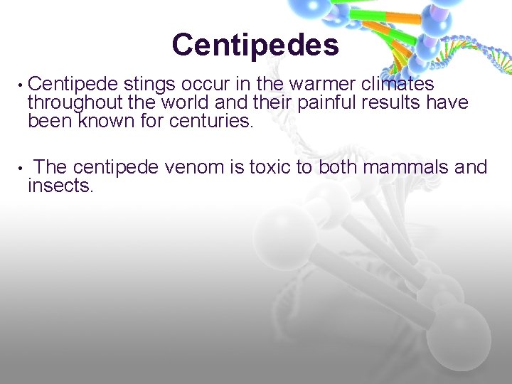 Centipedes • Centipede stings occur in the warmer climates throughout the world and their