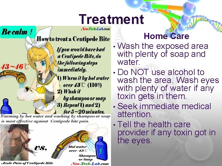 Treatment Home Care • Wash the exposed area with plenty of soap and water.