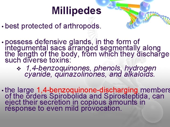 Millipedes • best protected of arthropods. • possess defensive glands, in the form of