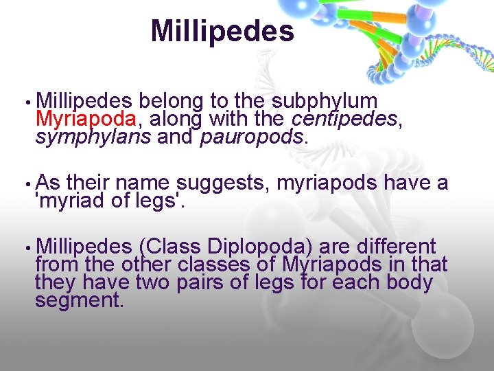 Millipedes • Millipedes belong to the subphylum Myriapoda, along with the centipedes, symphylans and