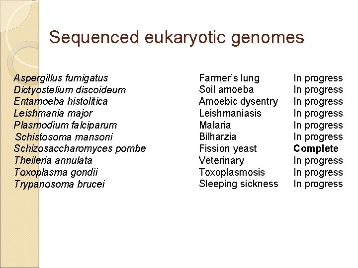 Sequenced eukaryotic genomes Aspergillus fumigatus Dictyostelium discoideum Entamoeba histolitica Leishmania major Plasmodium falciparum Schistosoma