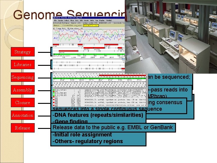 Genome Sequencing - Review Strategy Clone by clone vs whole genome shotgun Libraries Subcloning;