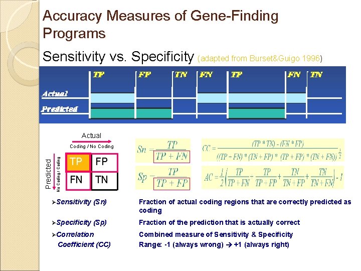 Accuracy Measures of Gene-Finding Programs Sensitivity vs. Specificity (adapted from Burset&Guigo 1996) TP FP