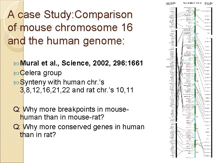 A case Study: Comparison of mouse chromosome 16 and the human genome: Mural et