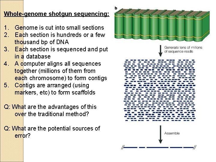 Whole-genome shotgun sequencing: 1. Genome is cut into small sections 2. Each section is