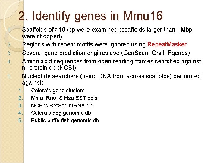 2. Identify genes in Mmu 16 1. 2. 3. 4. 5. Scaffolds of >10