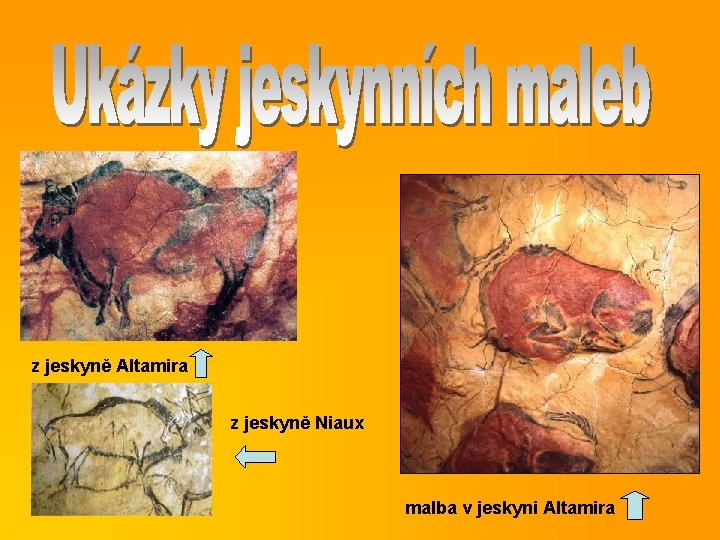 z jeskyně Altamira z jeskyně Niaux malba v jeskyni Altamira 