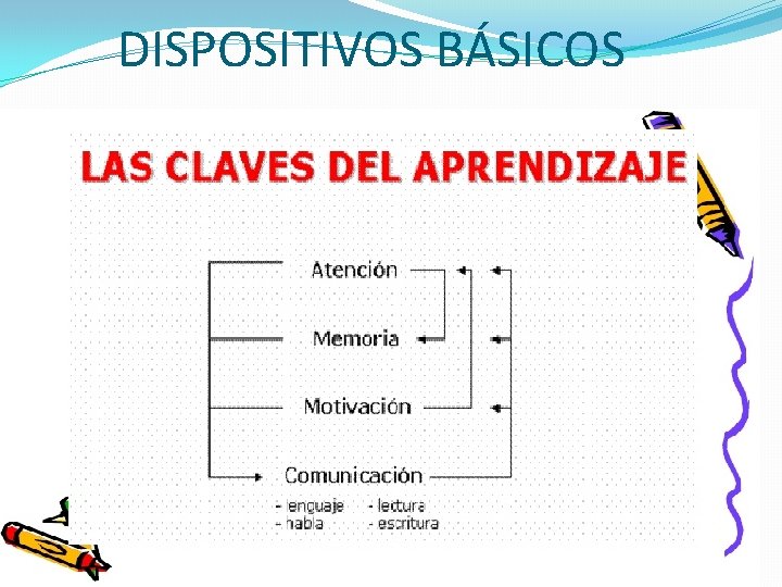 DISPOSITIVOS BÁSICOS 