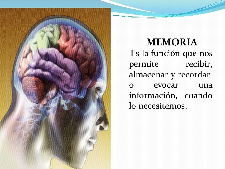 MEMORIA Es la función que nos permite recibir, almacenar y recordar o evocar una