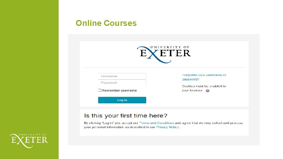 Online Courses 