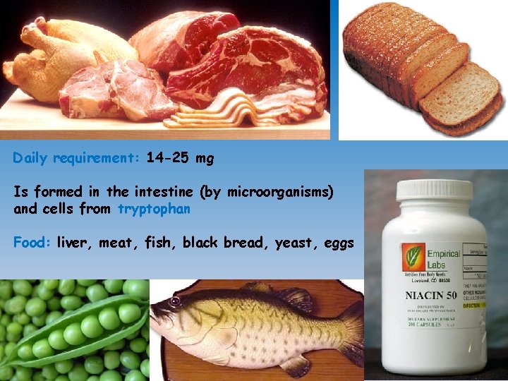Daily requirement: 14 -25 mg Is formed in the intestine (by microorganisms) and cells