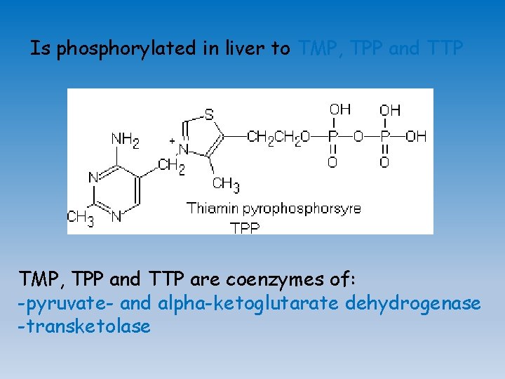 Is phosphorylated in liver to ТМP, ТPP and ТТP are coenzymes of: -pyruvate- and
