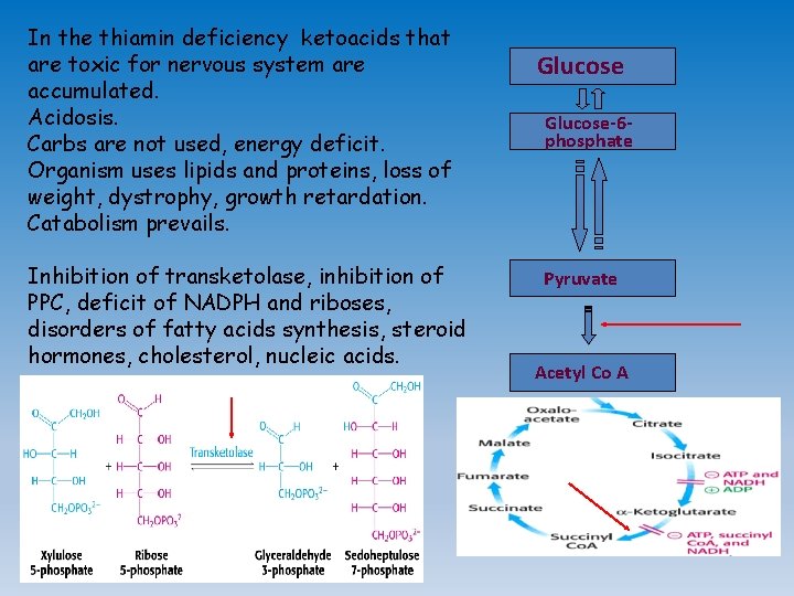 In the thiamin deficiency ketoacids that are toxic for nervous system are accumulated. Acidosis.