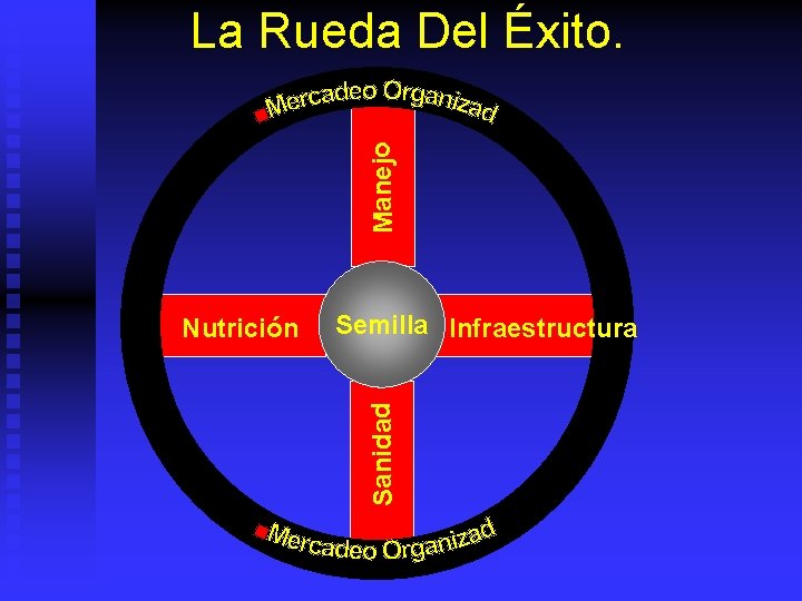 Manejo La Rueda Del Éxito. Semilla Infraestructura Sanidad Nutrición 