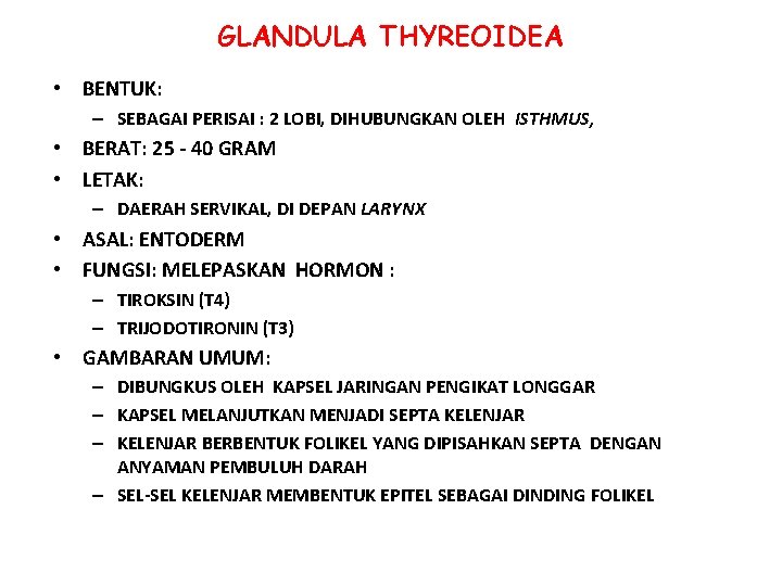 GLANDULA THYREOIDEA • BENTUK: – SEBAGAI PERISAI : 2 LOBI, DIHUBUNGKAN OLEH ISTHMUS, •