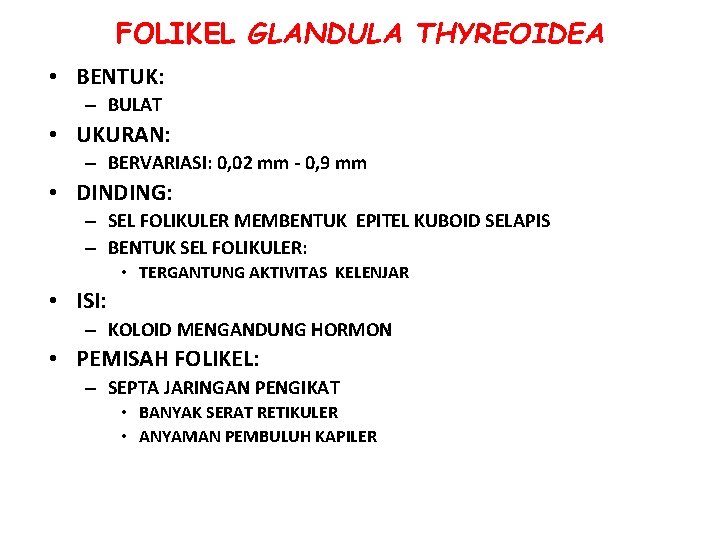 FOLIKEL GLANDULA THYREOIDEA • BENTUK: – BULAT • UKURAN: – BERVARIASI: 0, 02 mm