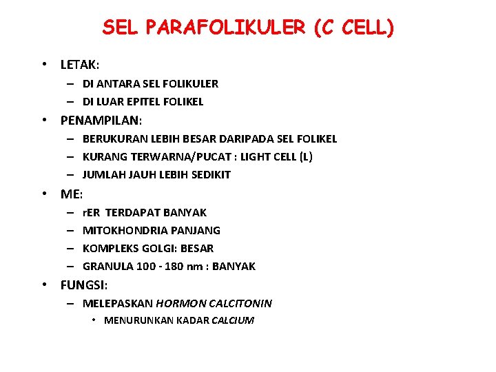 SEL PARAFOLIKULER (C CELL) • LETAK: – DI ANTARA SEL FOLIKULER – DI LUAR