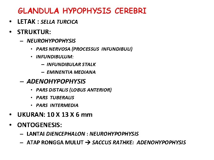 GLANDULA HYPOPHYSIS CEREBRI • LETAK : SELLA TURCICA • STRUKTUR: – NEUROHYPOPHYSIS • PARS