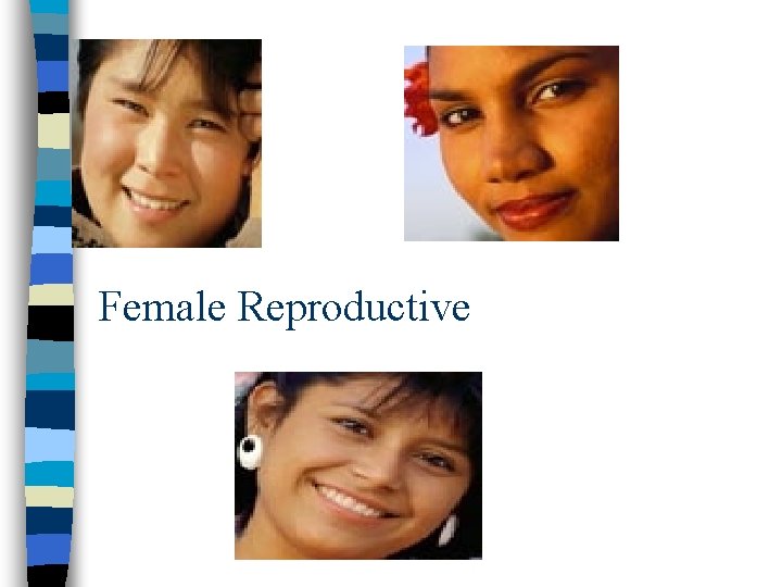 Female Reproductive 