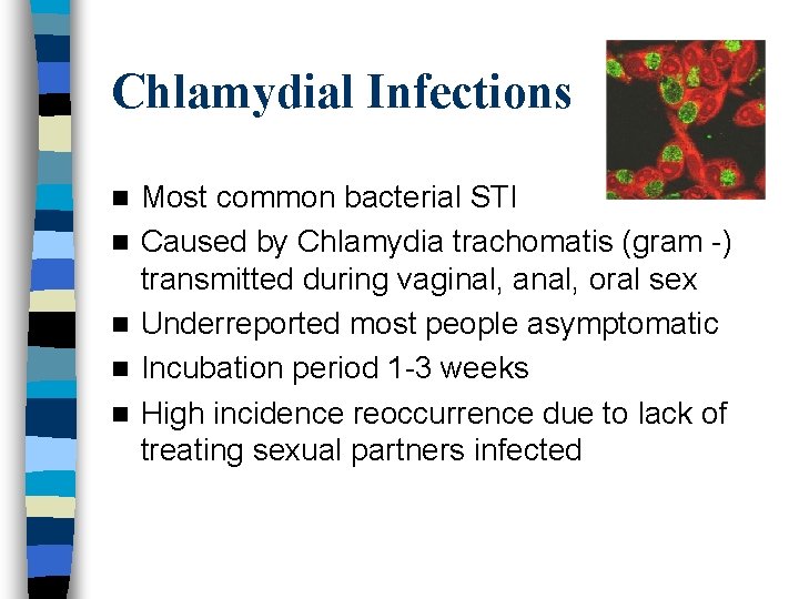 Chlamydial Infections n n n Most common bacterial STI Caused by Chlamydia trachomatis (gram