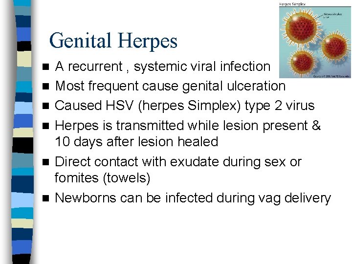 Genital Herpes n n n A recurrent , systemic viral infection Most frequent cause