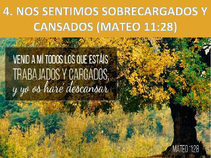 4. NOS SENTIMOS SOBRECARGADOS Y CANSADOS (MATEO 11: 28) 