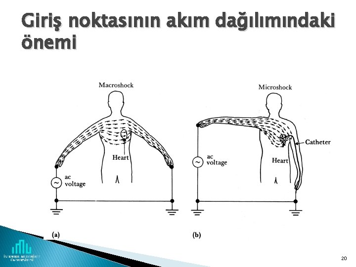 Giriş noktasının akım dağılımındaki önemi 20 