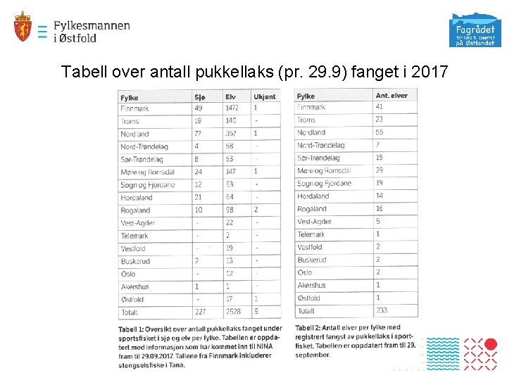 Tabell over antall pukkellaks (pr. 29. 9) fanget i 2017 