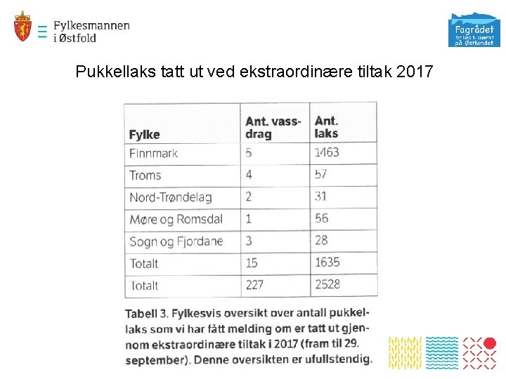 Pukkellaks tatt ut ved ekstraordinære tiltak 2017 