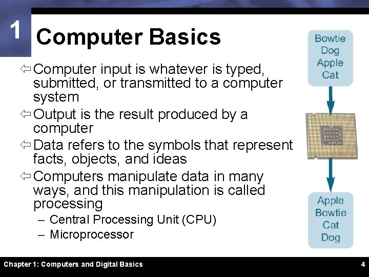 1 Computer Basics ï Computer input is whatever is typed, submitted, or transmitted to