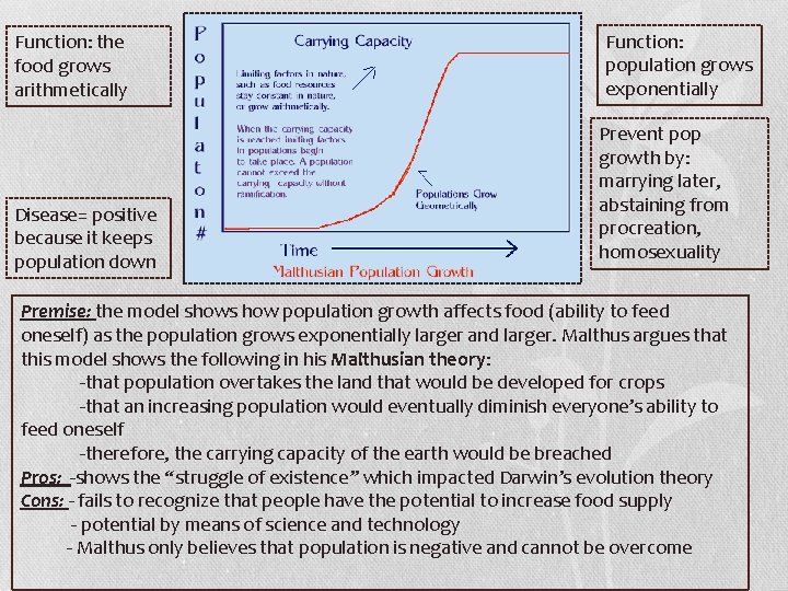 Function: the food grows arithmetically Disease= positive because it keeps population down Function: population