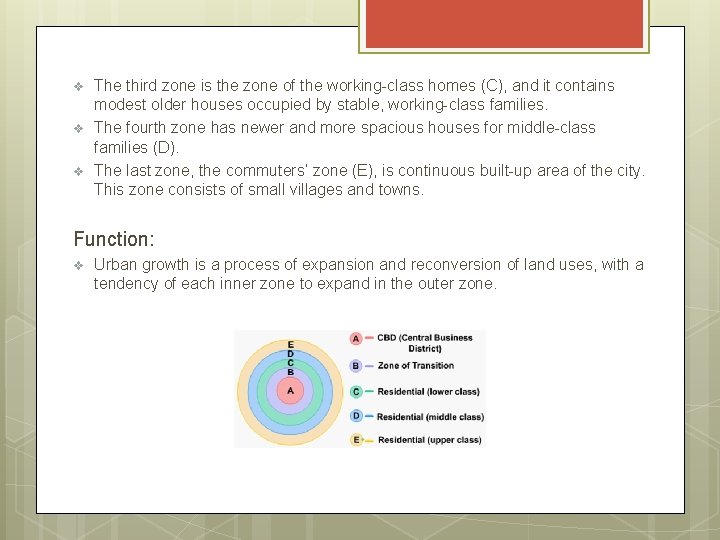 v v v The third zone is the zone of the working-class homes (C),