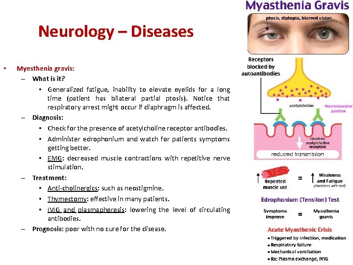 Neurology – Diseases • Myesthenia gravis: – What is it? • Generalized fatigue, inability