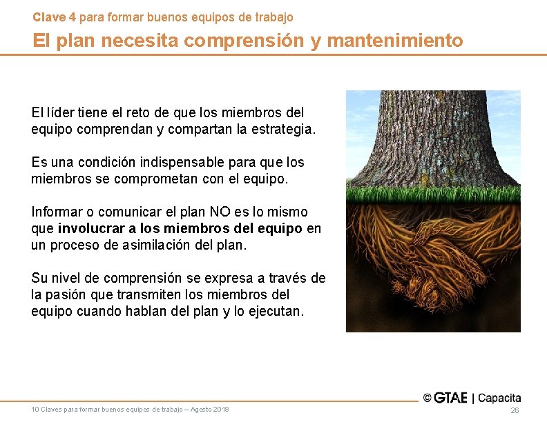 Clave 4 para formar buenos equipos de trabajo El plan necesita comprensión y mantenimiento