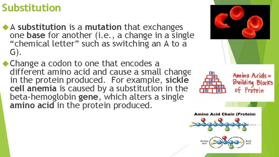 Substitution A substitution is a mutation that exchanges one base for another (i. e.